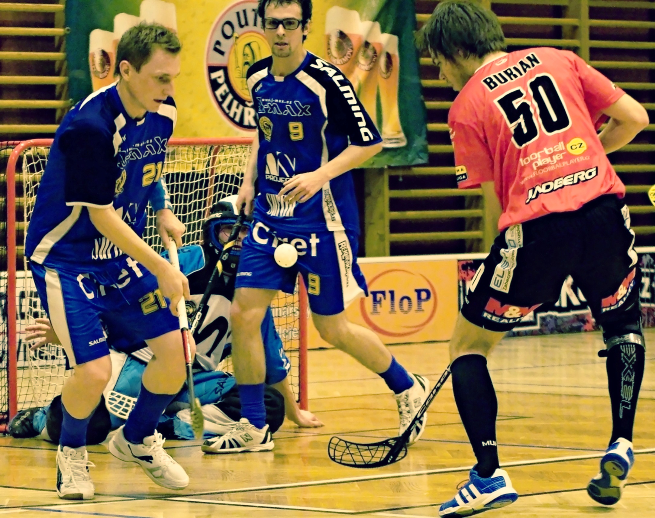 Pe.A   PArdubice 16.2.2013 (37)